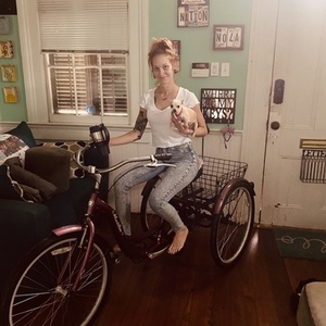 Schwinn Meridian tricycle Purple