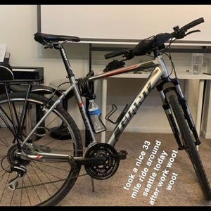 2013 Giant Roam 2 Silver, gray or bare metal and Red