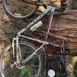 2013 Giant Roam 2 Silver, gray or bare metal and Red