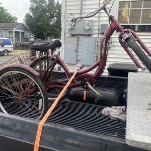 Schwinn Meridian tricycle Purple