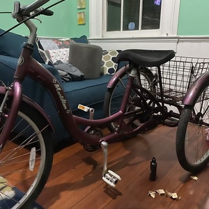 Schwinn Meridian tricycle Purple