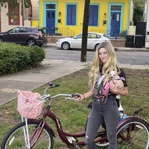 Schwinn Meridian tricycle Purple