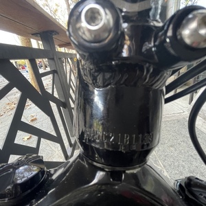 2021 Rad Power Bikes RadCity 5 Plus Black and Silver, gray or bare metal