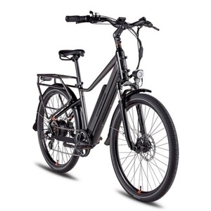 2021 Rad Power Bikes RadCity 5 Plus Black and Silver, gray or bare metal