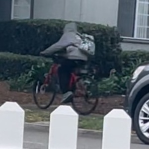 2021 Trek FX 3 Red