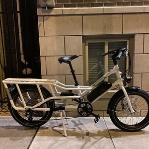2021 Rad Power Bikes Rad wagon 4 cargo bike (rear storage) White