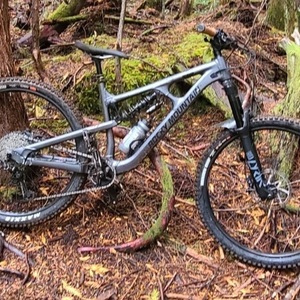 2020 Rocky Mountain Bicycles Slayer Silver, gray or bare metal