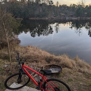Specialized Aerial Orange and Black