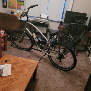 2021 Electra Townie 7D Silver, gray or bare metal