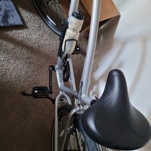 2021 Electra Townie 7D Silver, gray or bare metal