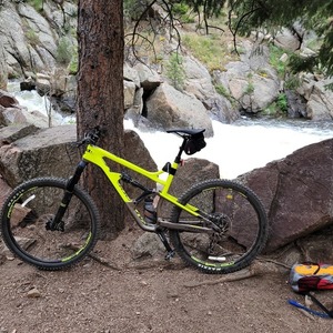 2018 Cannondale jekyll Yellow or Gold