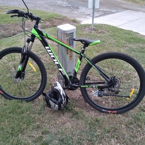 2021 WOLF/Tianjin Yihao Bicycle Co., Ltd Mountain Green and Black