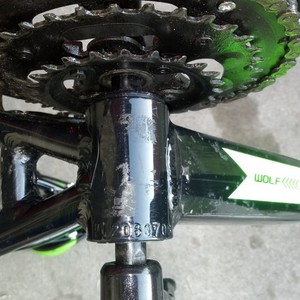 2021 WOLF/Tianjin Yihao Bicycle Co., Ltd Mountain Green and Black