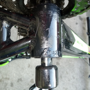 2021 WOLF/Tianjin Yihao Bicycle Co., Ltd Mountain Green and Black