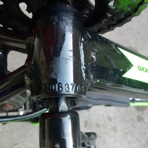 2021 WOLF/Tianjin Yihao Bicycle Co., Ltd Mountain Green and Black