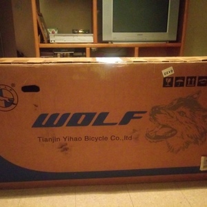 2021 WOLF/Tianjin Yihao Bicycle Co., Ltd Mountain Green and Black