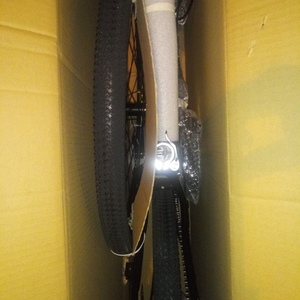 2021 WOLF/Tianjin Yihao Bicycle Co., Ltd Mountain Green and Black
