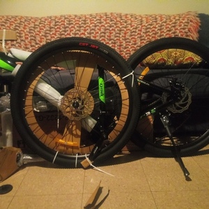 2021 WOLF/Tianjin Yihao Bicycle Co., Ltd Mountain Green and Black