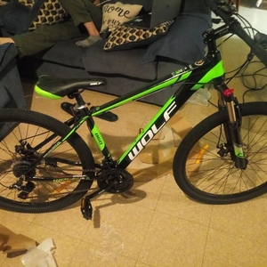 2021 WOLF/Tianjin Yihao Bicycle Co., Ltd Mountain Green and Black