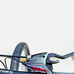 2021 WOLF/Tianjin Yihao Bicycle Co., Ltd Mountain Green and Black