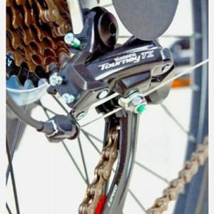 2021 WOLF/Tianjin Yihao Bicycle Co., Ltd Mountain Green and Black