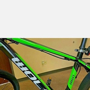 2021 WOLF/Tianjin Yihao Bicycle Co., Ltd Mountain Green and Black