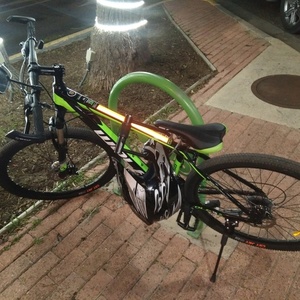 2021 WOLF/Tianjin Yihao Bicycle Co., Ltd Mountain Green and Black