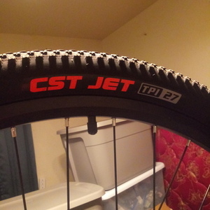 2021 WOLF/Tianjin Yihao Bicycle Co., Ltd Mountain Green and Black