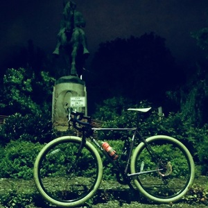2014 Surly Straggler Purple