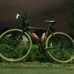 2014 Surly Straggler Purple