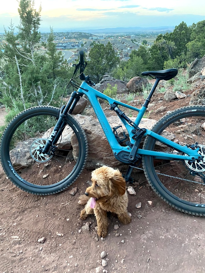 Bike photo