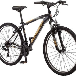 2019 Schwinn Black