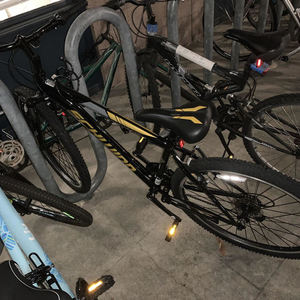 2019 Schwinn Black