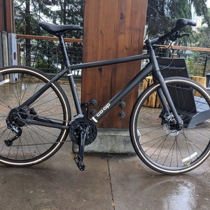 2019 REI CTY 1.2 Silver, gray or bare metal