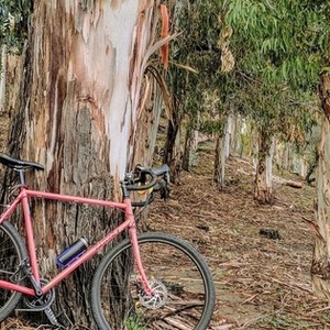 2020 Surly Straggler Pink