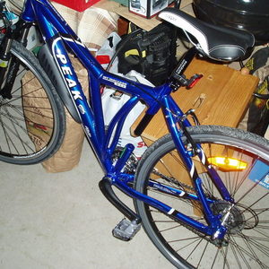 Peak bicycle Blue