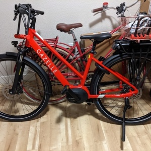 2020 Gazelle Medeo T9 HMB Low-Step Red