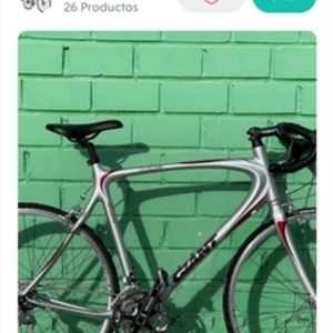 2006 Giant Silver, gray or bare metal