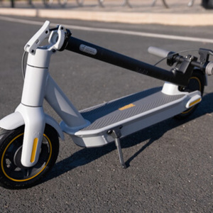 2021 ninebot G30LP e-scooter Silver, gray or bare metal and Black