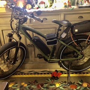 2020 Rad Power Bikes Rover Green