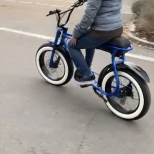 2021 RUFF CYCLES Lil' Buddy Blue