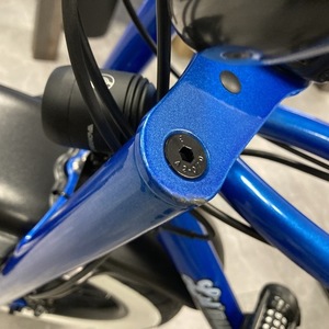 2021 RUFF CYCLES Lil' Buddy Blue