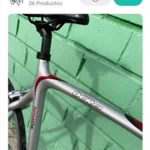 2006 Giant Silver, gray or bare metal