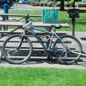 Specialized Hardrock Sport Silver or Gray and Stickers tape or other cover-up