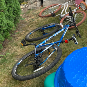 Cannondale Trail Sl 5 Blue