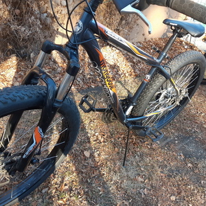 2021 Mongoose 275 terrex Black