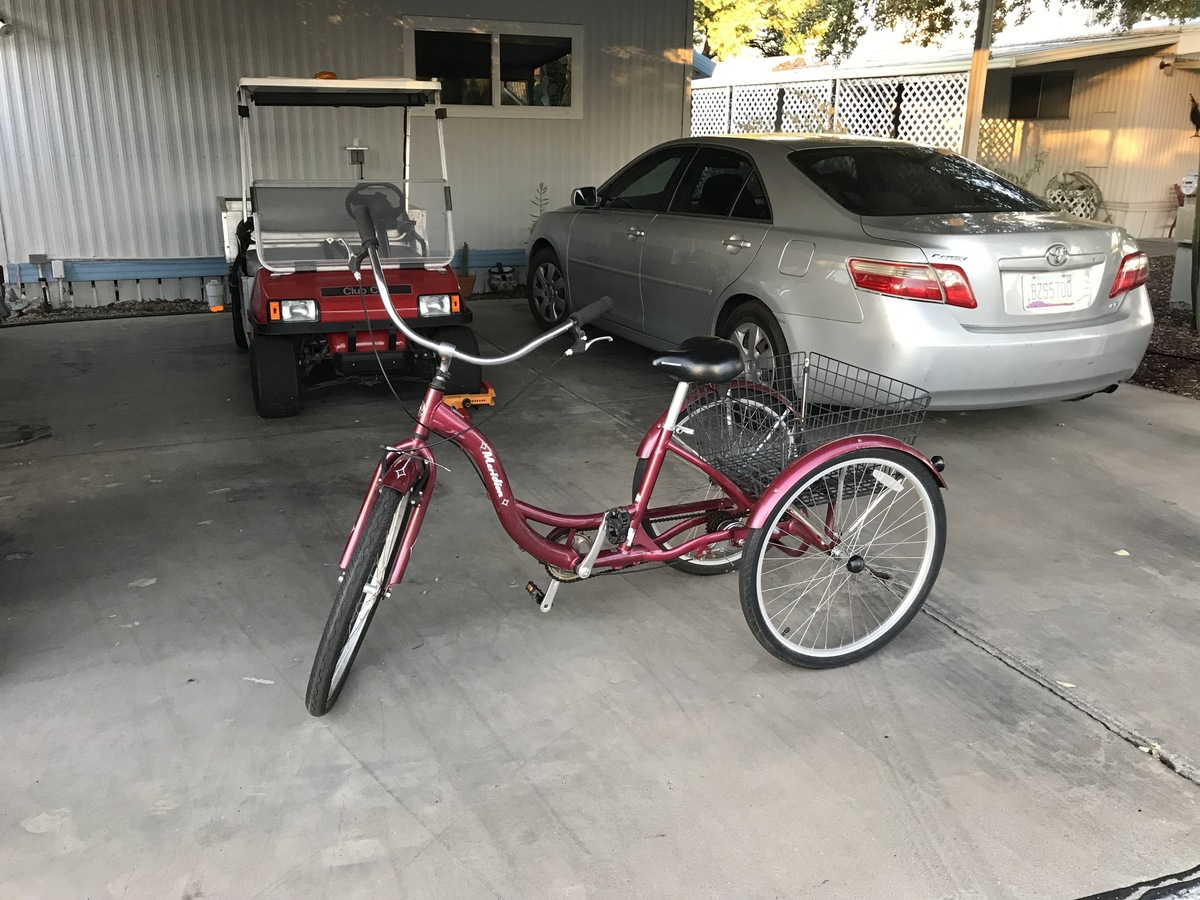 Cargo Tricycle photo
