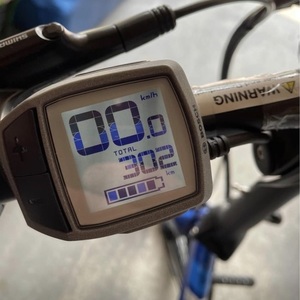 2020 Tern Vektron Q9 Blue