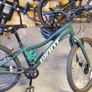 2020 Giant XTC Green