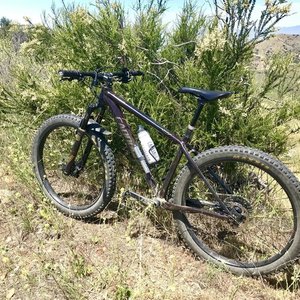 2016 Cannondale Beast of the East 2 Brown